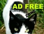 Ad-free Zone