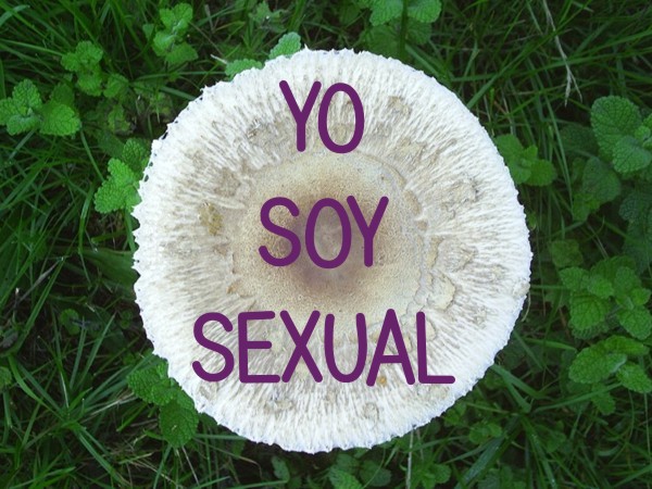 soy sexual
