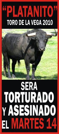 Toros