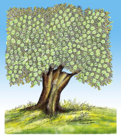 árbol