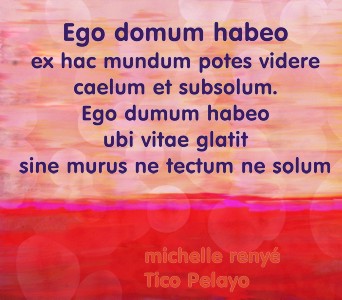 Ego domum habeo