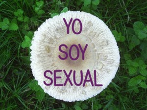 Yo soy sexual