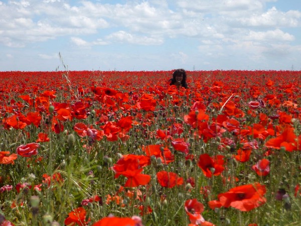 Esther y las amapolas