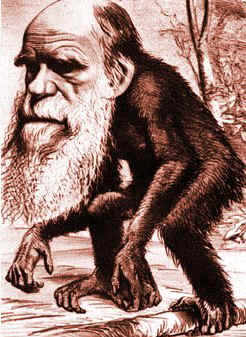 Darwin