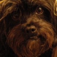 Judy, alias Mikita