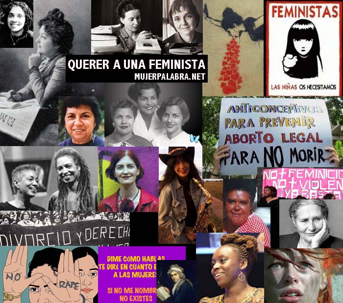 Querer a una feminista